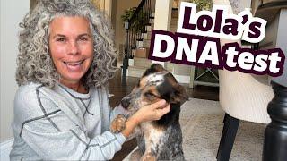 Collecting My Rescue Dog’s DNA – Here’s How It’s Done