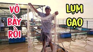 Cuối Cùng Anh Nghĩa Cũng Tìm Được Nơi Bầy Cá Trú Ngụ | #66TV #fishing