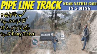 Pipeline Track DONGA GALI | NATHIA GALI | Ayubia National Park Visit | Donga gali to Ayubia Track