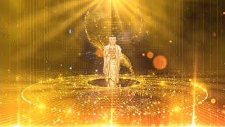 Powerful Nianfo (Amituofo) Amitabha Meditation | 念佛阿弥陀佛| Niệm Phật | Nembutsu (1hr)