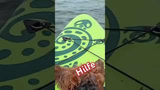 Hilfe #vlogs #reise #vlog #funnyshorts  Hilfe ich bin angetrieben