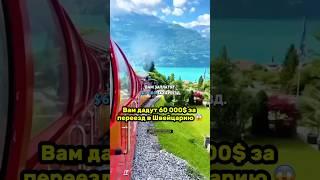 Вам дадут 60000$ за переезд в Швейцарию  #швейцария #жизнь #любовь #семья #люди #психология
