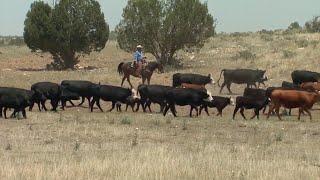 Public Lands Council Annual Meeting Underway in Colorado