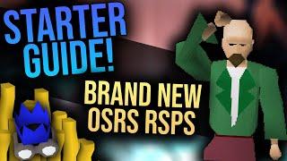 *ULTIMATE* 2021 Starters Guide To This *BRAND NEW* OSRS RSPS : Xeros Beginners Guide | Giveaway!