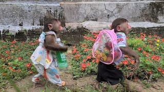 Mimi Kuku brings Mom's fruit and drink