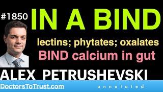 ALEX PETRUSHEVSKI 4 | IN A BIND:  lectins; phytates; oxalates BIND calcium in gut