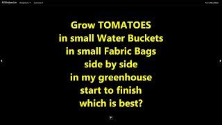 Grow Tomatoes in small Water Buckets & small Fabric Bags side by side in my garden. Which is best.