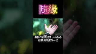 隨緣：一切都不屬於你 #開悟 #覺醒