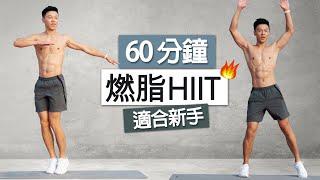 燃脂挑戰！在家60分鐘爆汗HIIT | 甩掉脂肪、無器材、適合新手 塑造完美身材 60 MIN Beginner HIIT Workout - Full Body home Cardio!