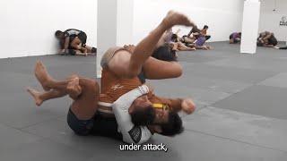 MONSTER BJJ TAKEDOWNS | Nicky Rod