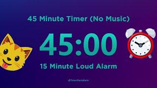 45 minute Timer