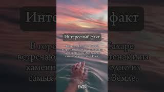 Интересный факт #интересныефакты #жизнь #природа #тинькоффинвестиции #здоровье #деньги