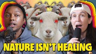 Goats Attack, Greeks are Whack, and Drama at SNL | WNWY #7 w/ Lucas Zelnick