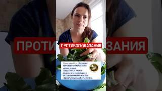 ПОЛЕЗНАЯ ЗАМЕТКА ПРО #щавель #shorts  #shortvideo #пп  #youtubeshorts #полезныезнания #обовсём