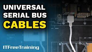 Universal Serial Bus (USB) - CompTIA A+ 220-1101 – 1.3