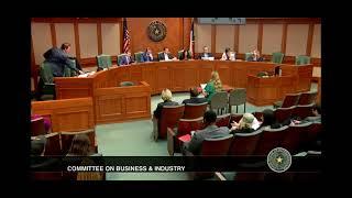 Texas House Testimony on HB 3768 - Texas DAO Bill