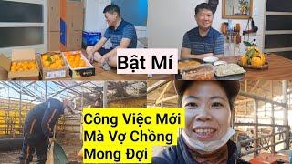 920# Bật Mí ,Dự Định Công Việc  Mới Mà Vợ Chồng Mong Đợi