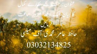 قاری عامر محمدی آف میلسی جنت کے نظارے 03032134825