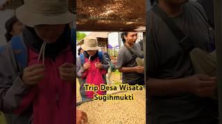 Trip Desa Wisata Sugihmukti #desawisata #desasugihmukti