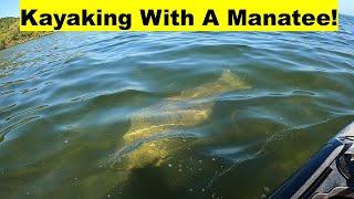 Manatee Sighting Biscayne NP Harvest Host Homestead FL RV Life