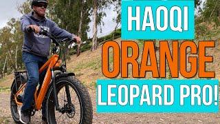 Haoqi Ebike Review & Test Ride: The Powerful Leopard Pro Fat Tire