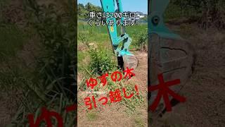 #農業#柚子##移設#ゆず#スマート農業#疲労軽減#東洋町#森海家#重機#ユンボ#バックフォー#田舎#畑#果樹園