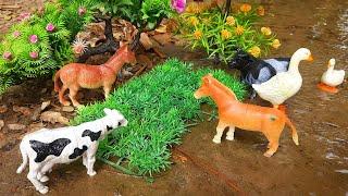 mini tractor, jcb gadi, tractor, cattle, cartoon video, animal video, matikata | Mar 6, 20259:40 AM