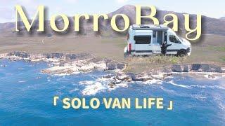 Seal Spotting & Sea Breeze: My Morro Bay Van Life Getaway