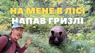 Зустрів ведмедя в дикому лісі — Похід в гори, що змінив моє життя — Подорож по США — Монтана