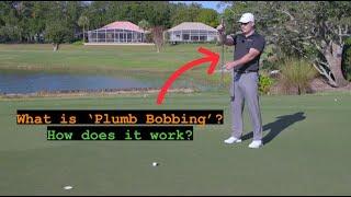 What is 'Plumb Bobbing'? How does it work? Check this video out!