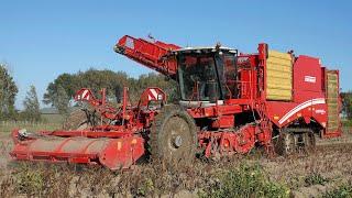 Grimme Varitron 470 Terra Trac | Potato Harvest | Self-propelled harvester | John Deere | VGM