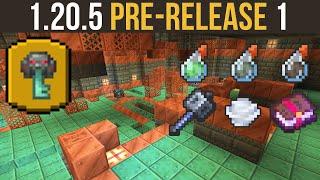 Minecraft 1.20.5 Pre-Release 1 | New Trial Chamber Room | Potion Tweaks