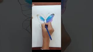 Butterfly  drawing with color pencils #ytshort trending #viral