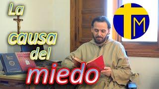 Evangelio 30 enero 2021 (Marcos 4, 35-41) Padre David Caja. La causa del miedo