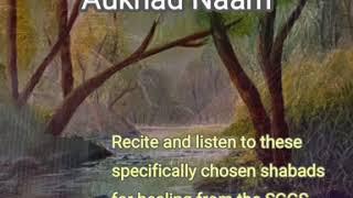 Healing Prayers - Sarab Rog Ka Aukhad Naam