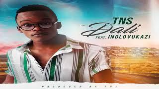 TNS ft iNdlovukazi - My Dali (Prod by TNS)