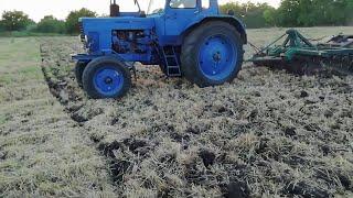 Why the discator goes sideways. Adjustment of the trailed discator. MTZ 80 tractor.