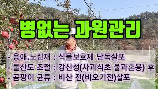 병없는 과원관리(깨끗한 과일 판매)