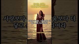 “박서진, 그대는 내 첫 번째 이름입니다” – 팬들이 만든 헌정곡 ‘내 마음속 첫 번째 이름’