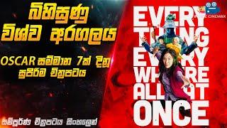 බිහිසුණු විශ්ව අරගලය-OSCAR සම්මාන 7ක් දිනූ චිත්‍රපටය| Everything Everywhere All at Once in Sinhala