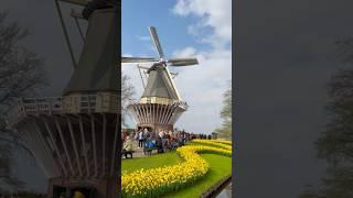Keukenhof, Netherlands - The World’s Biggest Flower Garden! 
