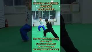 진가태극권 노가1로 발경(發勁) : 섬통배(閃通背) - 엄수굉권(掩手肱拳) : Chen Style Taichi Laojia 1lu : Shan Tong Bei (Flash ....