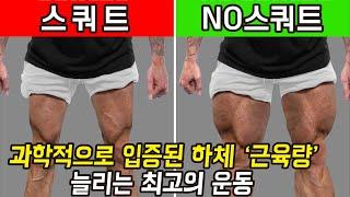 스쿼트 없이 하체를 키우는 최고의 하체 운동 [무릎, 허리 부상 방지]