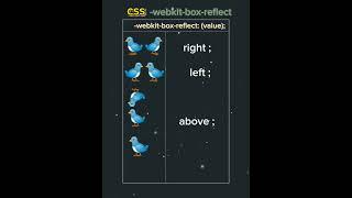 Learn css -webkit-box-reflect                                            #css #webkit #box #reflect