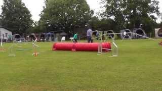 Corinna Rössler & Lilly  Punktelauf - 2. Bundesliga Lauf Süd in Sennfeld am 9.6.2013