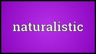 Naturalistic Meaning