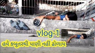 હવે કબુતરથી પાણી નહીં ઢોળાય vlog-1