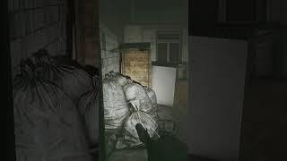 Master Chek Fights for Success #shorts #escapefromtarkov