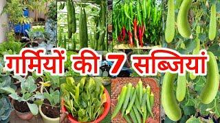 7 Summer Season Vegetables to Grow at Home/Garden, घर पर गर्मियों की सब्जियां कैसे उगाएं