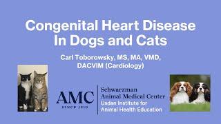 Heart Disease in Dogs and Cats (Congenital)